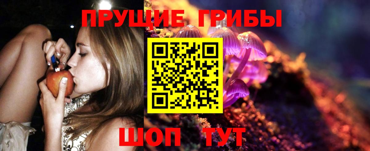 Прохладный  Псилоцибиновые грибы мухоморы  Вход с VPN  Галлюциногенные грибы Cubensis 